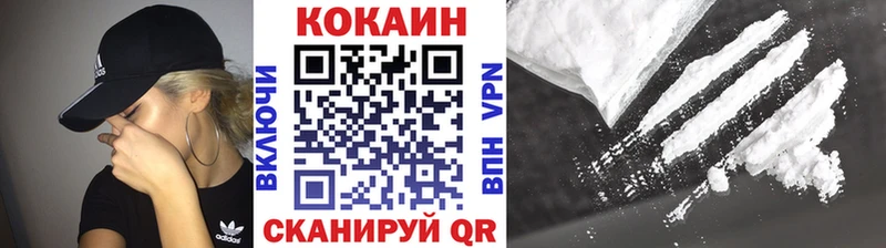 Купить Майкоп COCAIN Fish Scale