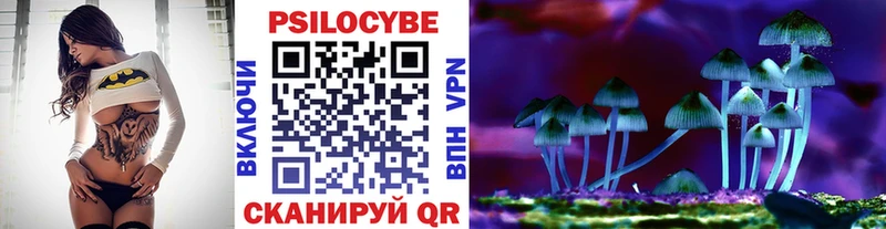 Галлюциногенные грибы Psilocybe  Купить закладки  Майкоп 
